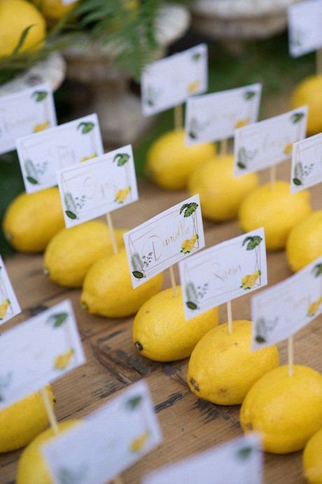 lemon name holders